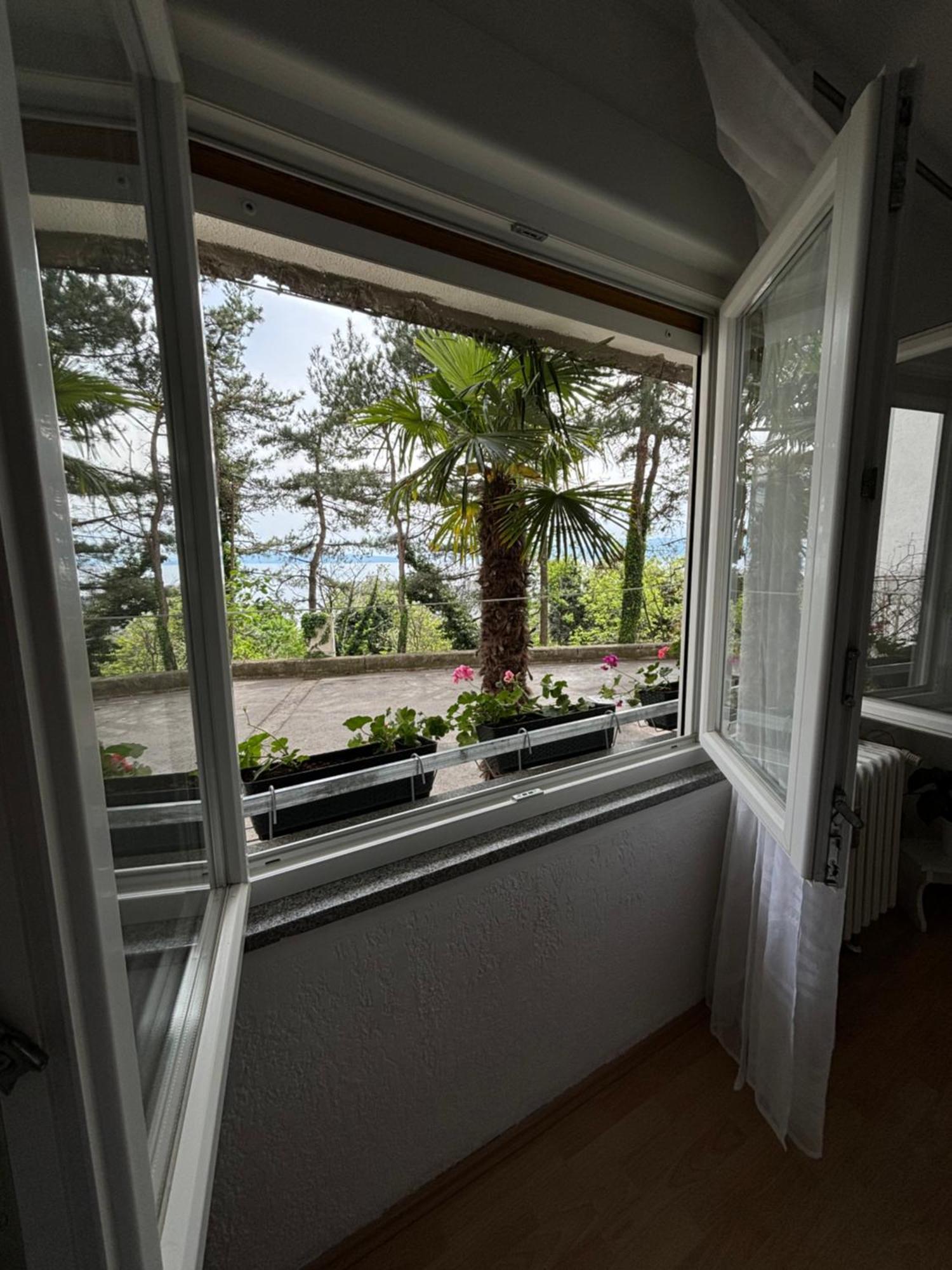 P&K Apartman Fiume Kültér fotó